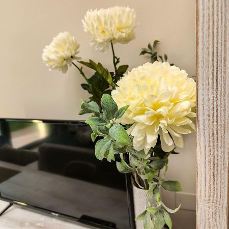 ホテル Delphinium Selargius エクステリア 写真